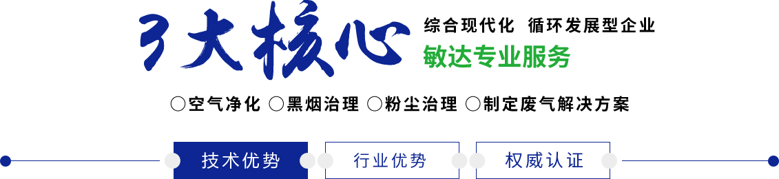 日本干B网站敏达环保科技（嘉兴）有限公司